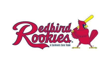 Redbird Rookie Full Color Image-comp